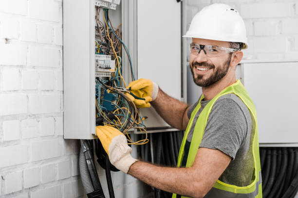 Best Electric Panel Repair  in Orland Park, IL